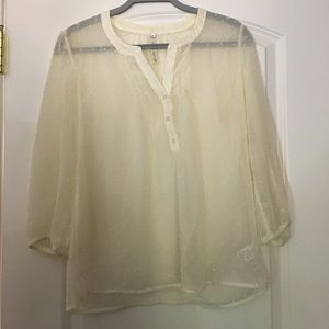Sheer Blouse
